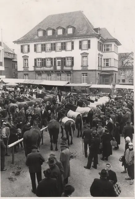 1950: Pferde gehören zum Öhringer Pferdemarkt   | Foto: HZ-Archiv