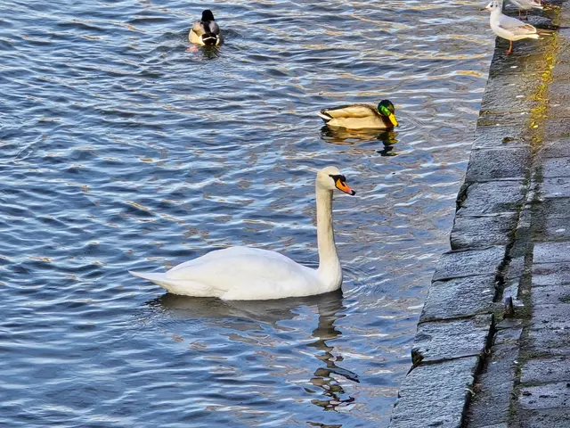 Foto: Heidrun Rosenberger