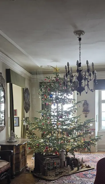 Der Weihnachtsblieb stand nur noch wegen uns ... grins. | Foto: privat Sibylle Tröber