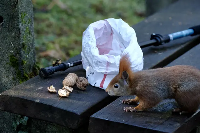 Was haben sie uns mitgebracht ... | Foto: ED