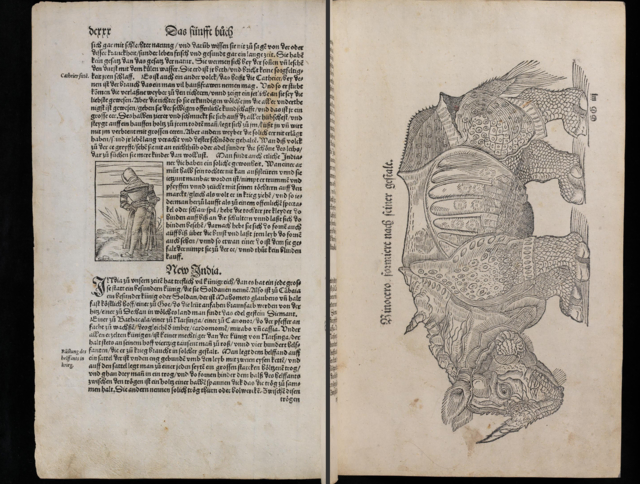 "Rinocero formiert nach seiner Gestalt" auf einzelner Seite, der Text dazu folgt auf der nächsten Seite (Ausgabe 1544)

UB Basel, EU I 55 | Foto: Universitätsbibliothek Basel
