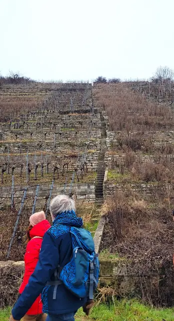 Blick nach oben - hier kann man nur erahnen was für eine Schwerstarbeit im Weinbau der Steillagen steckt! | Foto: Isolde Reitz