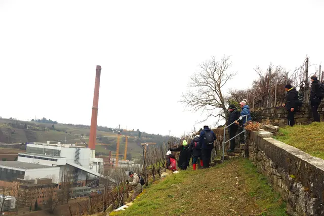 Herrliche Aussichtsplattform mitten in den Weinbergsteillagen. | Foto: Isolde Reitz