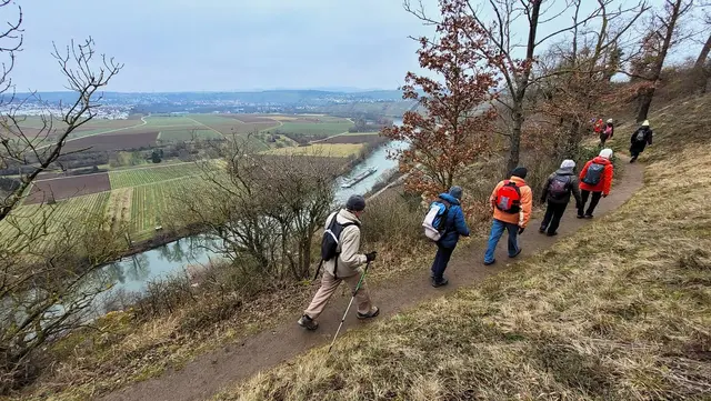 Ein Blick auf den Neckar, wo gerade ein Schiff passiert.  | Foto: Isolde Reitz