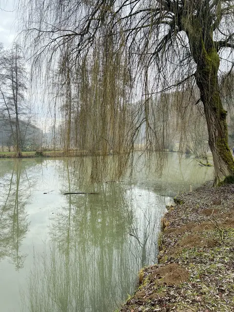 Der Henkersbrunnen See | Foto: privat