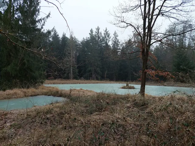 Auf's Eis gewagt haben sich die Wandersleute dann doch nicht. | Foto: Foto privat
