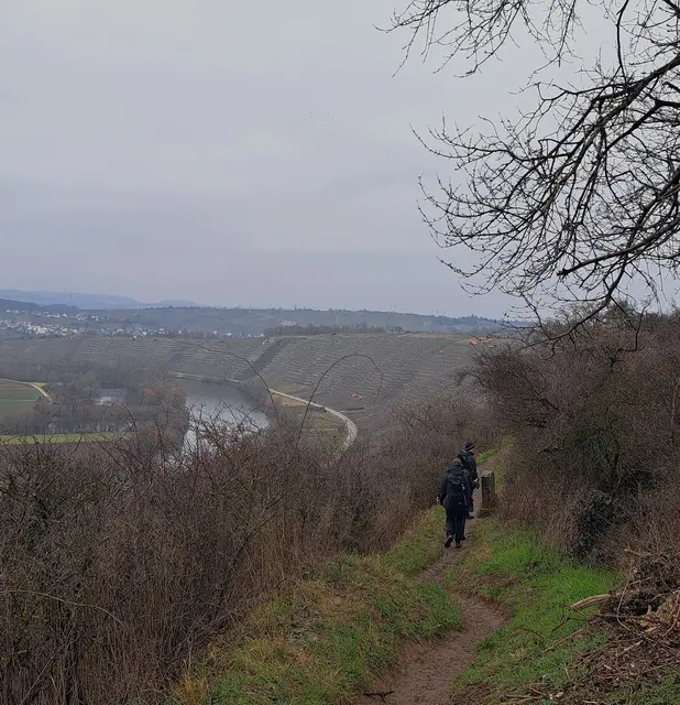 Gigantischer Blick zu den Weinbergsteillagen Wahlheim`s. | Foto: Isolde Reitz