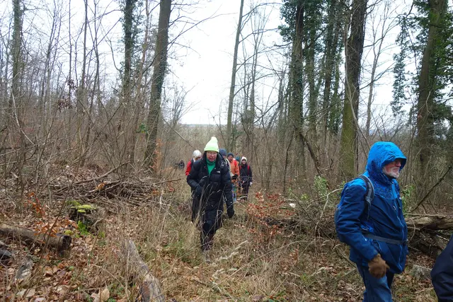 Über Stock und Stein wird ein Weg durch den Wald gesucht. | Foto: Isolde Reitz