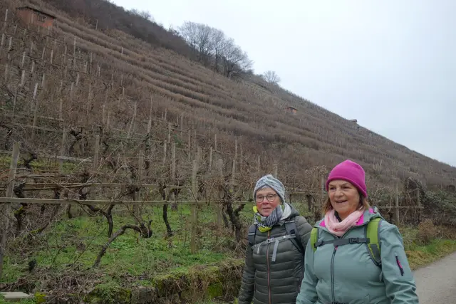 Am Neckar entlang, jetzt mit Blick nach oben zu den steilen Weinbergen.  | Foto: Isolde Reitz