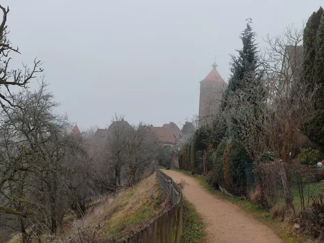 Der Hagweg mit Altstadtblick vor der östlichen Stadtmauer ist selbst im Nebel wunderschön anzusehen. | Foto: Foto privat