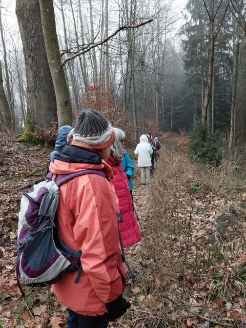 Die gelenkfreundlichen schmalen Waldpfade konnten nur im Gänsemarsch bewandert werden. | Foto: Foto privat