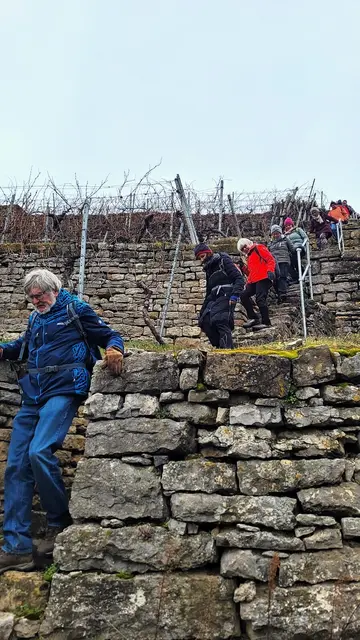Stäffelstour - steiler Abstieg durch die Weinberge, die eine Steigung von 45 Grad haben! | Foto: Isolde Reitz