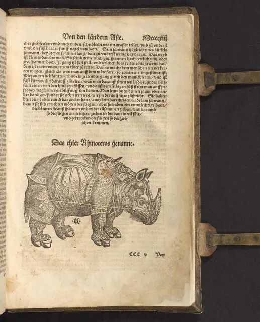  "Das thier Rhinoceros genannt" hat sich nach rechts gedreht und ist mit D K signiert (Ausgabe 1564)

Badische Landesbibliothek Karlsruhe, 98 B 76217 RH  | Foto: Badische Landesbibliothek Karlsruhe