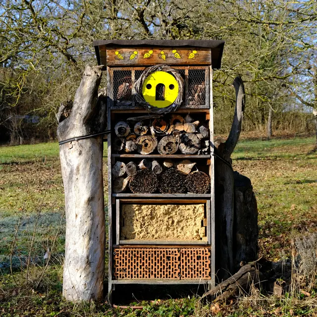 Foto: Eduard Warenik