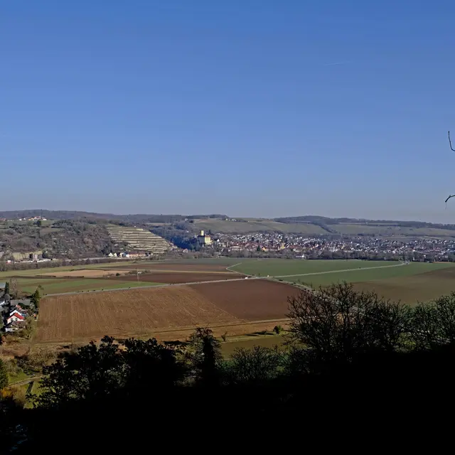 Blick nach Gundelsheim.  | Foto: Eduard Warenik