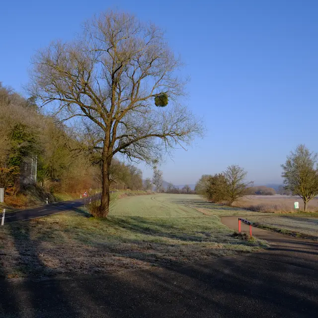 Neckartal  | Foto: Eduard Warenik