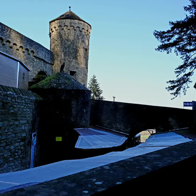 Foto: Eduard Warenik