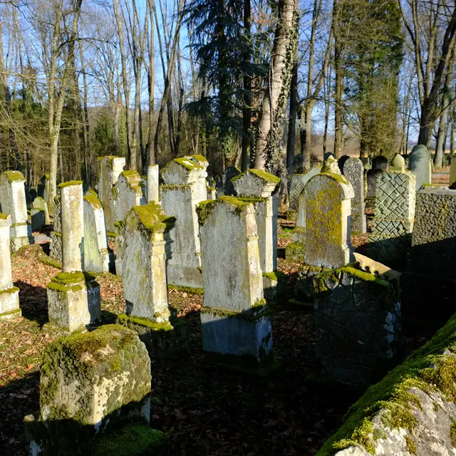 Foto: Eduard Warenik