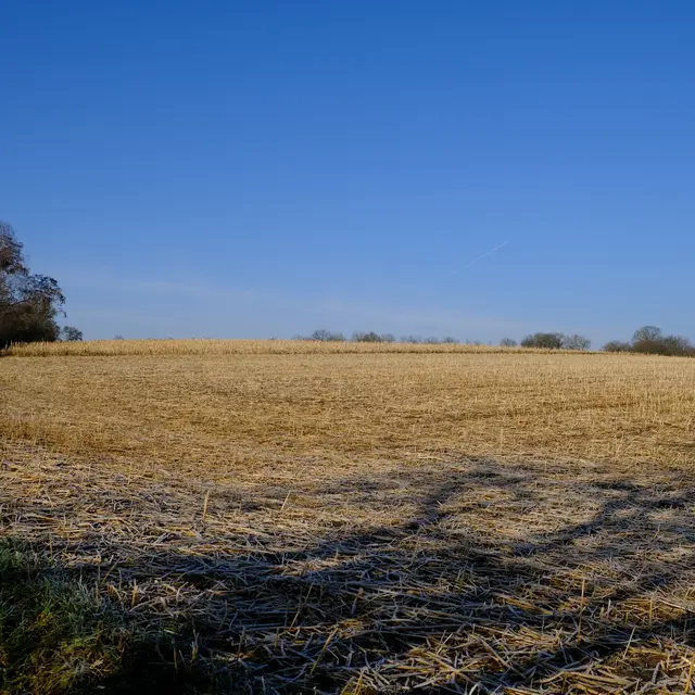 Foto: Eduard Warenik