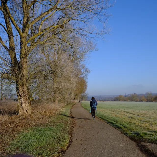 Foto: Eduard Warenik