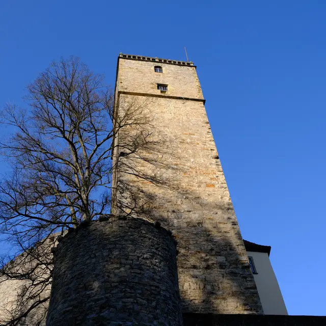 Foto: Eduard Warenik