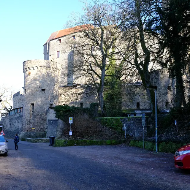 Burg Guttenberg  | Foto: Eduard Warenik
