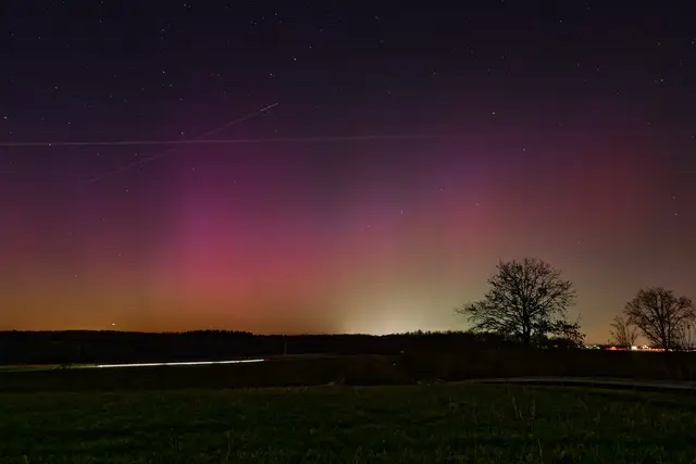 Poilarlicht | Foto: Jörg Haffelder