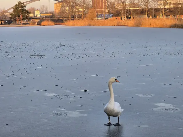 Foto: Heidrun Rosenberger