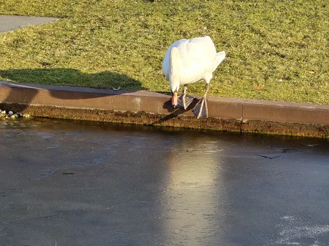 Foto: Heidrun Rosenberger