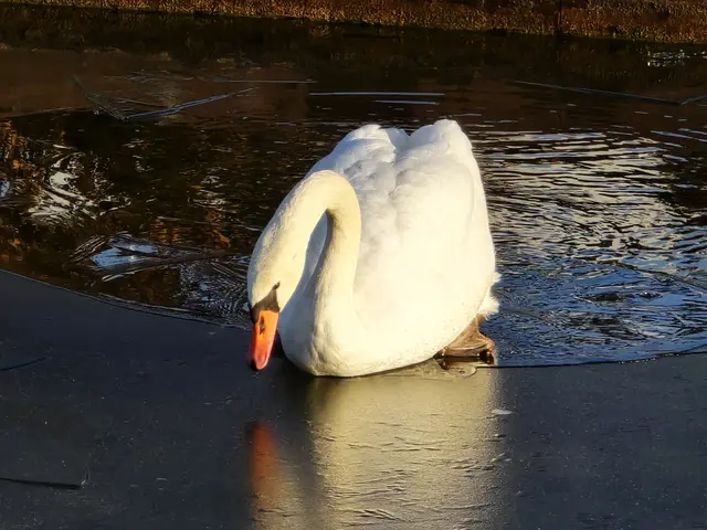 Foto: Heidrun Rosenberger