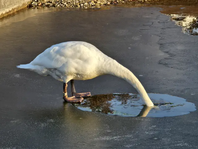 Foto: Heidrun Rosenberger