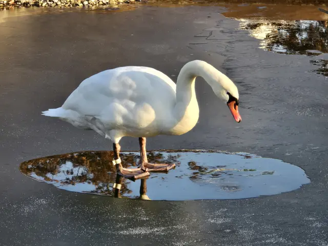 Foto: Heidrun Rosenberger