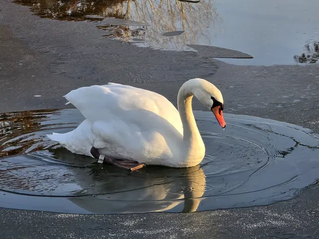 Foto: Heidrun Rosenberger