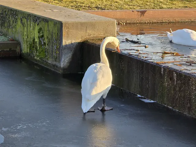 Foto: Heidrun Rosenberger