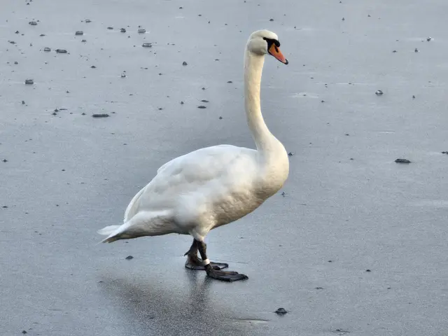 Foto: Heidrun Rosenberger