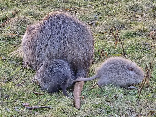Foto: Heidrun Rosenberger