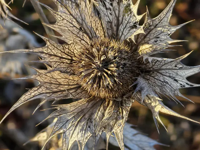 Foto: Heidrun Rosenberger