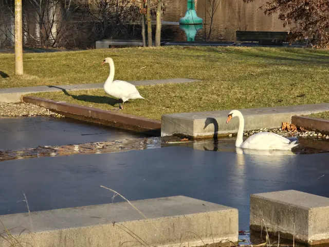 Foto: Heidrun Rosenberger