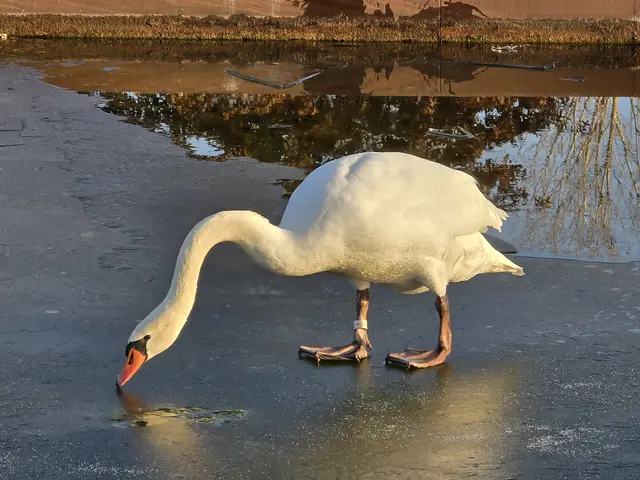 Foto: Heidrun Rosenberger