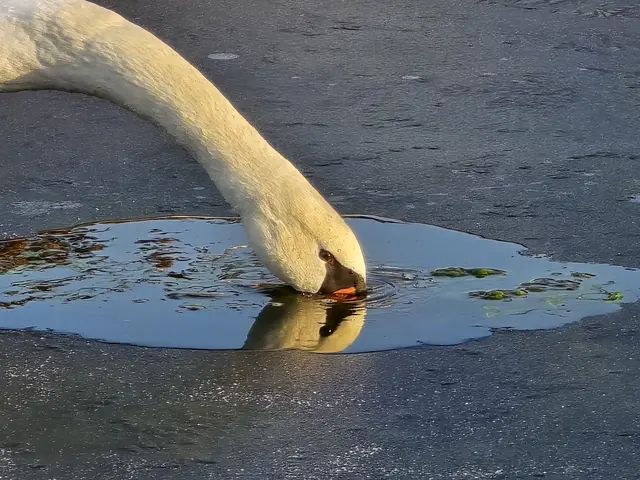 Foto: Heidrun Rosenberger