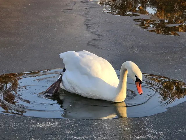 Foto: Heidrun Rosenberger