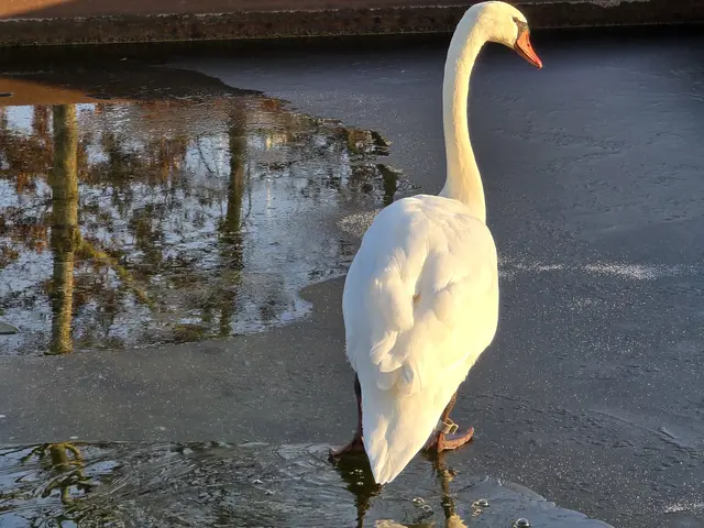 Foto: Heidrun Rosenberger