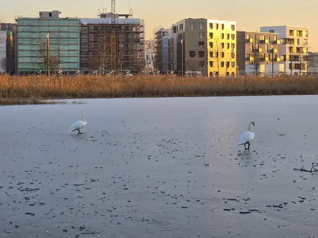 Foto: Heidrun Rosenberger