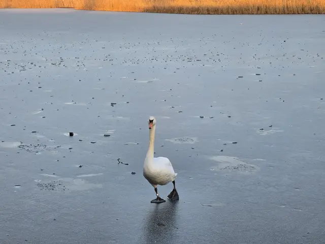 Foto: Heidrun Rosenberger