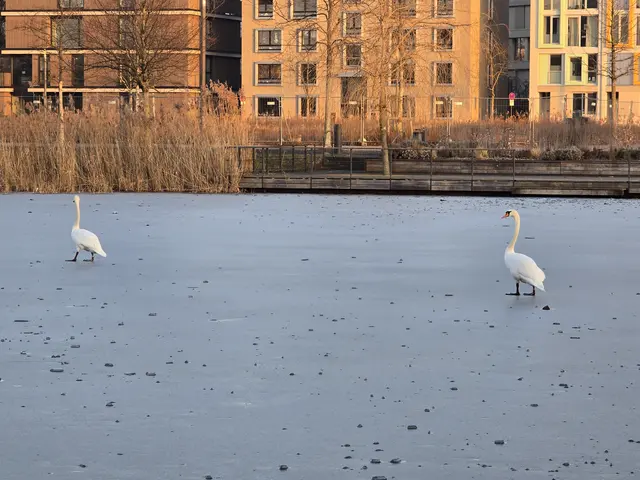 Foto: Heidrun Rosenberger