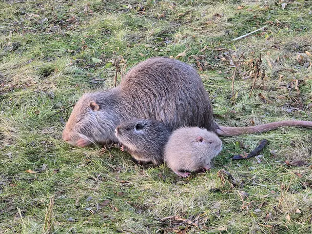 Foto: Heidrun Rosenberger