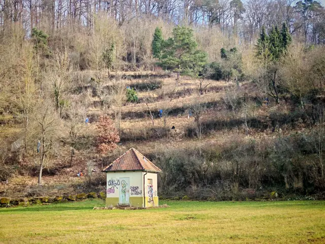 Foto: Das Neubergle, Foto: Nabu Heilbronn und Umgebung