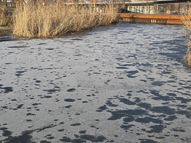 Foto: Heidrun Rosenberger