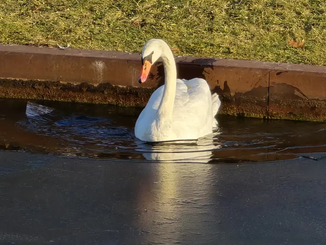 Foto: Heidrun Rosenberger