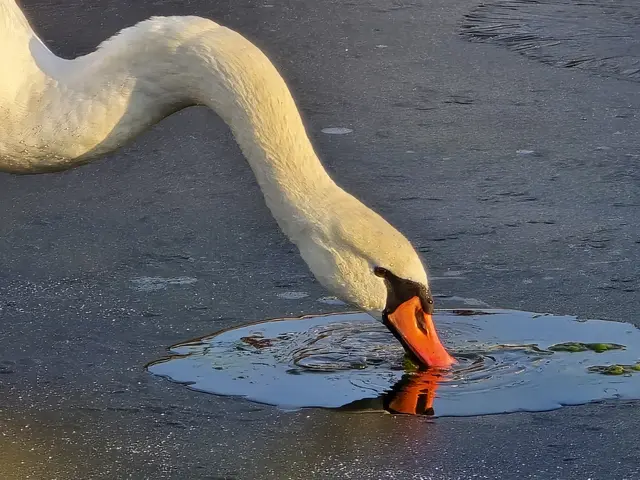 Foto: Heidrun Rosenberger